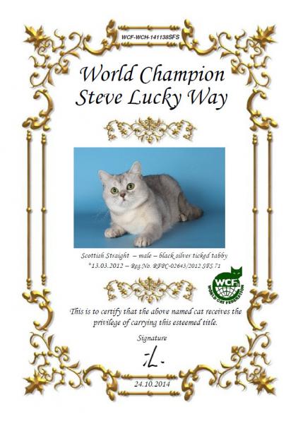 W.CH. Steve Lucky Way - SFS71ns25