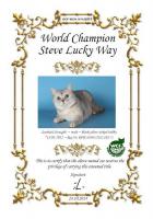 W.CH. Steve Lucky Way - SFS71ns25