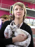 C кошкой Danikami Shegumy Neko на "Калинке" в Москве, фото Л. Швецовой